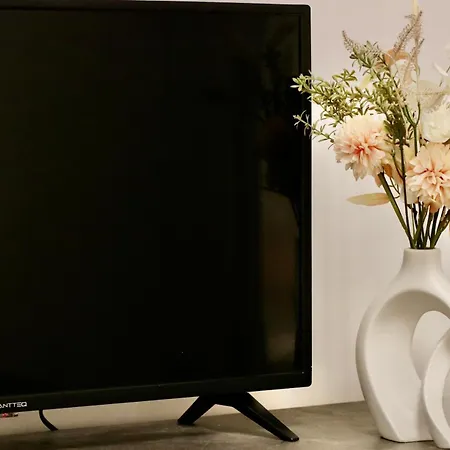 Homely In Apartamento *